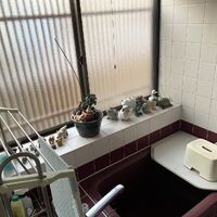 画像1392：M様邸便器取替工事