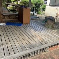 画像1437：M様邸便器取替工事