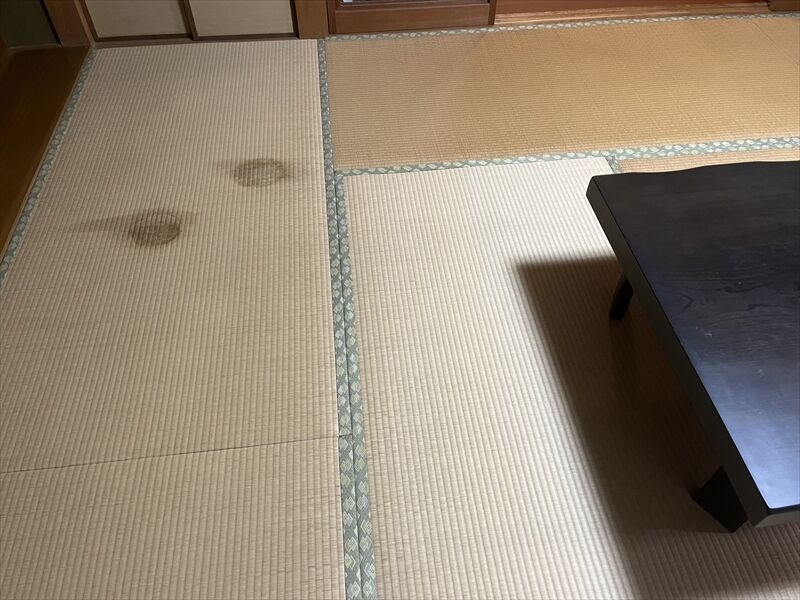 い草の香りで、暮らしに癒しを。畳の寿命知っていますか？