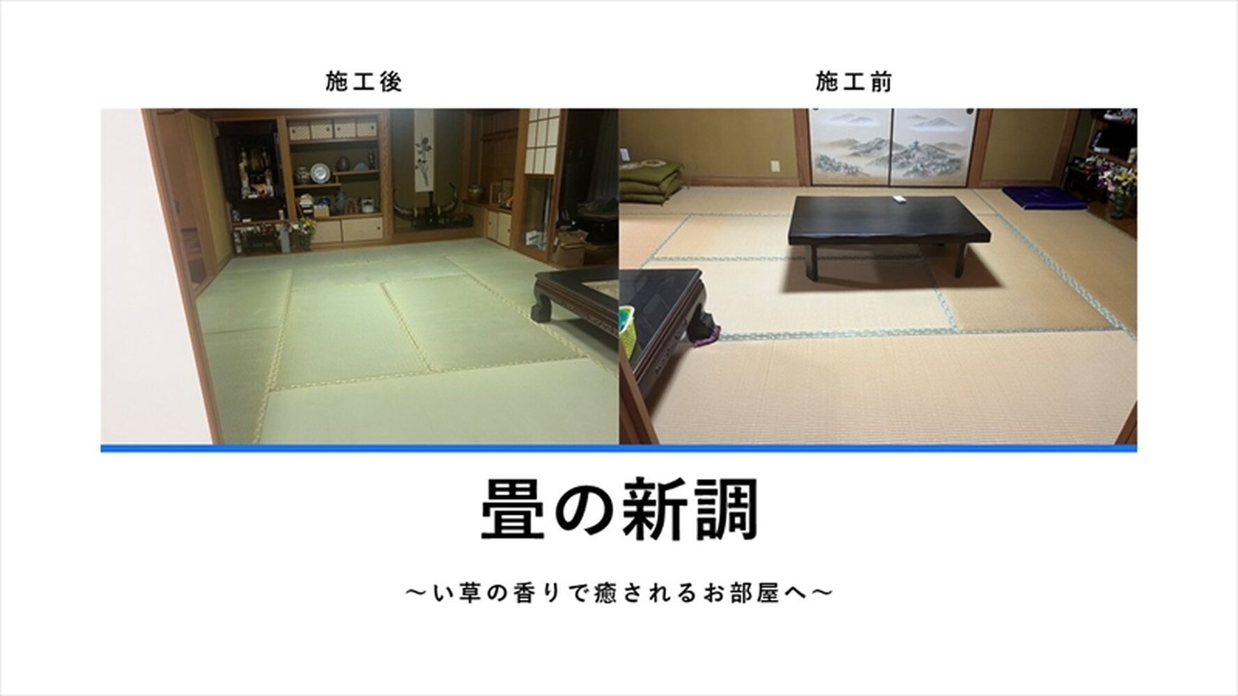 画像9430